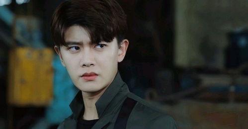 追白鹿的男星 爆料视频,独家爆料视频带你一探究竟