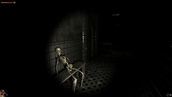 恐怖疯人院在线观看,惊悚揭秘，在线惊悚之旅